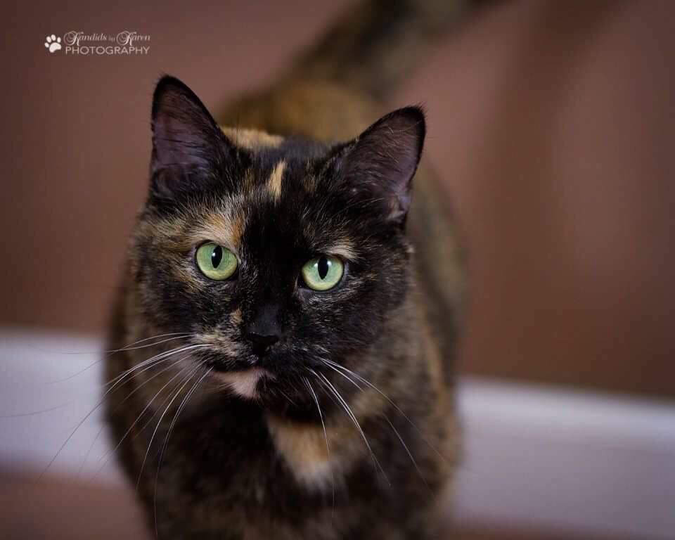Nellie